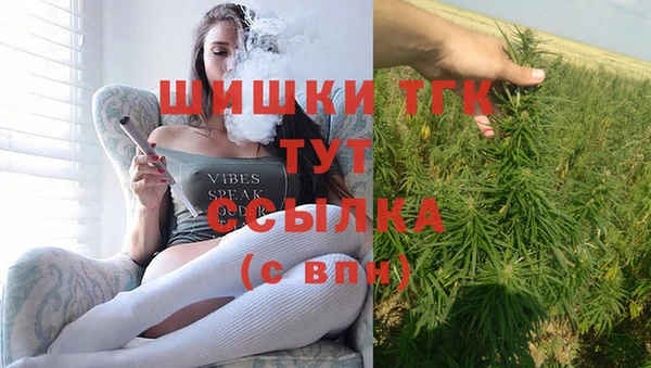 спиды Богданович