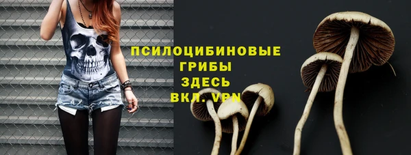 МДПВ Богородицк