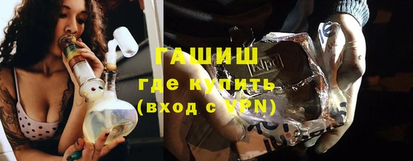 гидра Богородск