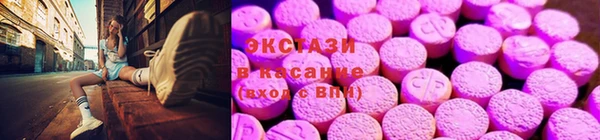 гидра Богородск