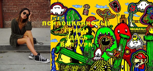 спиды Богданович