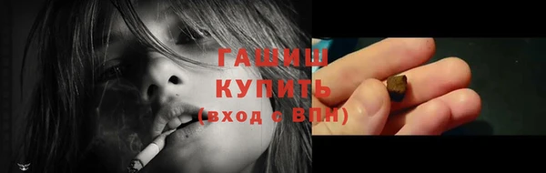 гидра Богородск