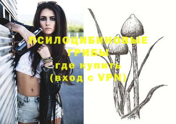 МДПВ Богородицк
