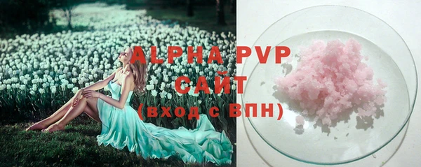 спиды Богданович