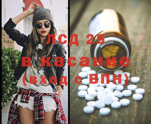 гидра Богородск