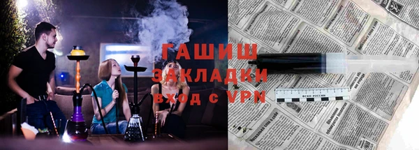 гидра Богородск