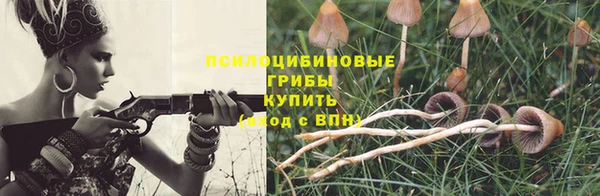 гидра Богородск
