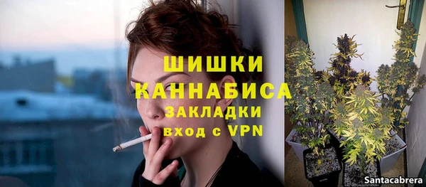 гидра Богородск