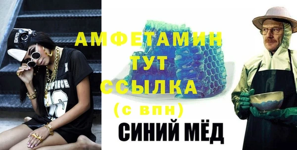гидра Богородск